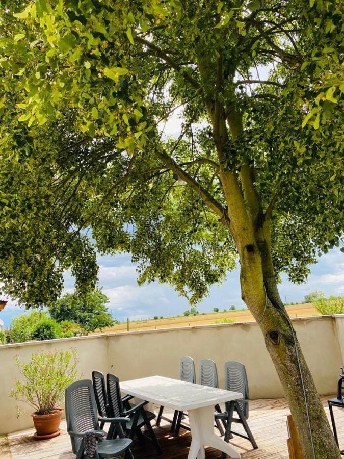 Gîte Spa La grange Kintzheim Esterno foto