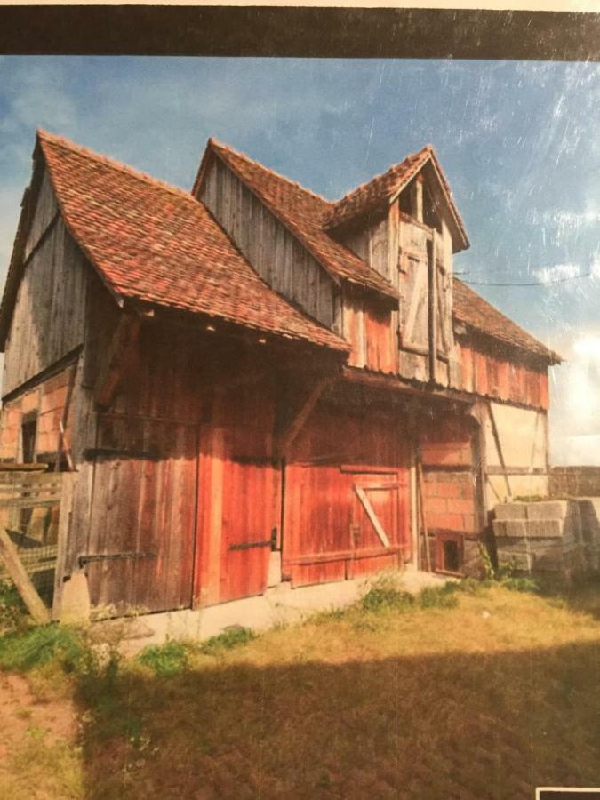 Gîte Spa La grange Kintzheim Esterno foto