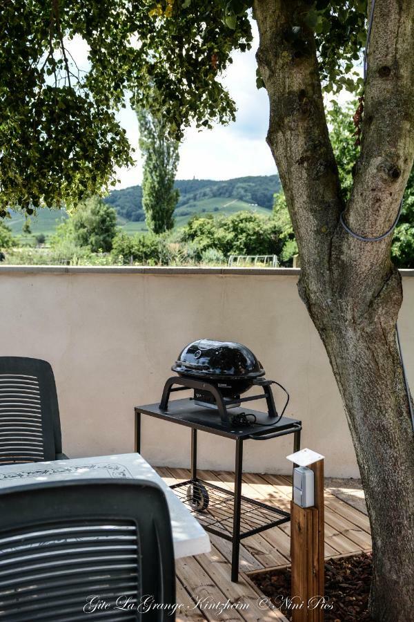Gîte Spa La grange Kintzheim Esterno foto